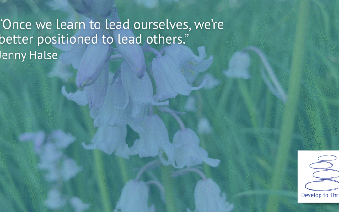 From frustration to empowerment: My coaching journey and why healthcare leaders need space to think 